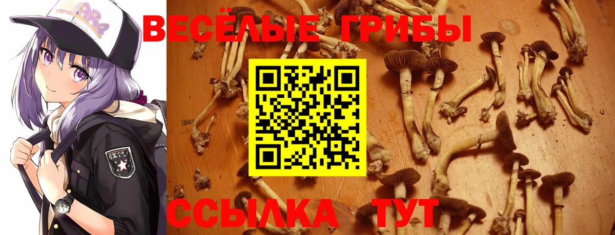Моршанск  Галлюциногенные грибы ЛСД  закладка  Вход с VPN 